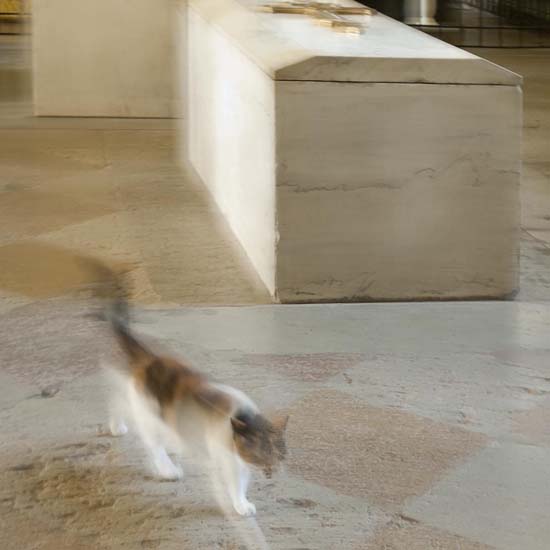 SP09_08